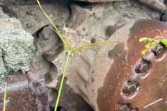 LINE_ALBUM_PC228US-3-20308_251031_30